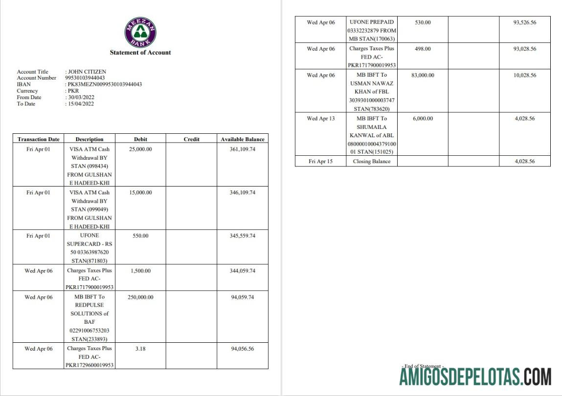 Pakistan Meezan Bank Statement 2 Pages amostra